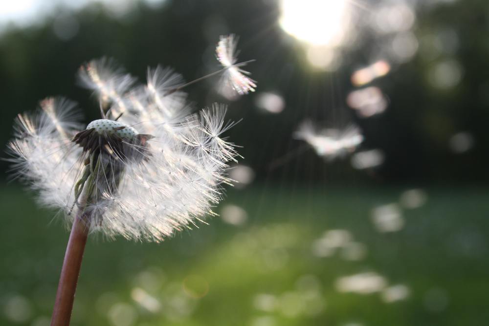Foto von Nita von Pexels